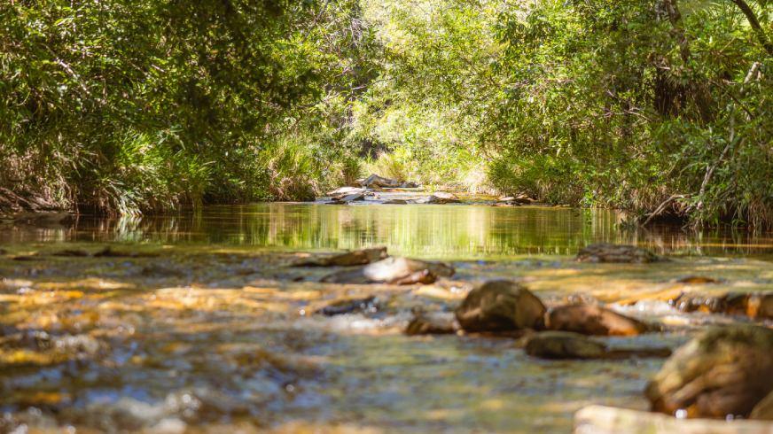 Além dos Cânions: Descubra por que a Canela de Ema é a Sensação de 2026 em Capitólio. Infraestrutura de ponta, história de 60 anos e a melhor localização na MG-050.

Capitólio é mundialmente famosa pelos seus cânions, mas em 2026, o turista inteligente está buscando algo mais profundo: infraestrutura com alma. Se você vem de Goiânia, Brasília ou das cidades do interior de São Paulo (como Ribeirão Preto e Franca), você não quer apenas tirar uma foto; você quer passar o dia com conforto.

A Canela de Ema não é apenas uma parada; é um complexo montado para ser o centro da sua experiência em Minas. Diferente das atrações aglomeradas, aqui você encontra o equilíbrio. Temos a Trilha Alta, uma expedição 4x4 que leva você a 4 cachoeiras exclusivas, incluindo a deslumbrante Sebastiana, terminando em um banho de canyon que rivaliza com os pontos mais famosos da região, mas com a privacidade que o alto escalão do funcionalismo e do mercado privado exige.

A partir de 2026, nossa novidade de abrir às segundas-feiras atende diretamente ao público de "viagem inteligente", que foge do pico de domingo. Com restaurante premiado, segurança de padrão internacional e uma história que começou com o Seu José Leonel em 1960, somos o destino que une o passado glorioso de Minas ao futuro do turismo de luxo acessível.
